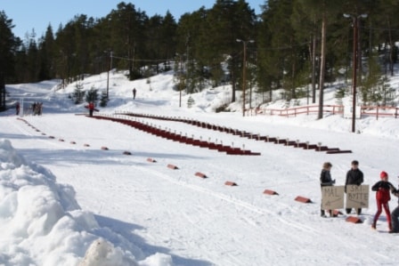 Fjellørnen skifestival